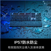 ROG 游侠2 RX PBT版 机械键盘 有线游戏键盘 RX红轴 RGB背光 键线分离 防水防尘键盘104键 黑色