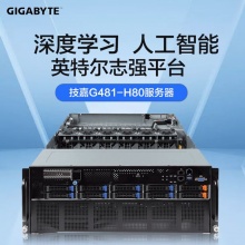 技嘉（GIGABYTE）G481-H80  Intel 服务器