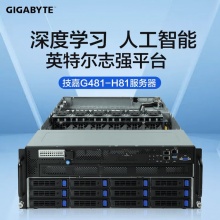 技嘉（GIGABYTE）G481-H81 Intel 服务器