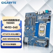 技嘉（GIGABYTE）WRX90 AMD线程撕裂者7000WX MH53-G40 双万兆网口全新服务器 MH53-G40