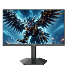 HKC 猎鹰二代 G25H4 显示器