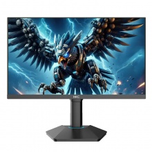 HKC 猎鹰二代 G25H5显示器