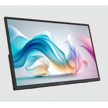 微星PRO MP165 E6显示器