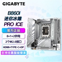 技嘉（GIGABYTE）B860I AORUS PRO ICE 迷你ITX主板 (Intel B860/LGA 1851）
