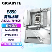 技嘉（GIGABYTE）背插冰雕 B850 AORUS STEALTH ICE 主板